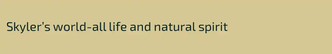 Skyler’s world-all life and natural spirit